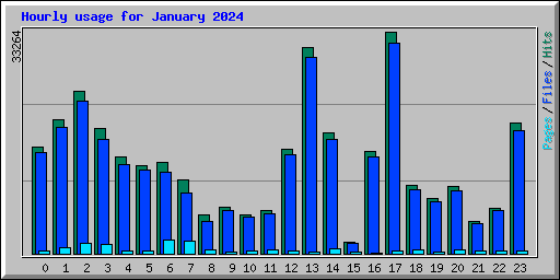 Hourly usage for January 2024