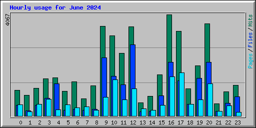 Hourly usage for June 2024