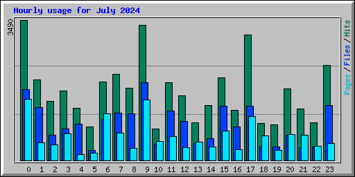 Hourly usage for July 2024