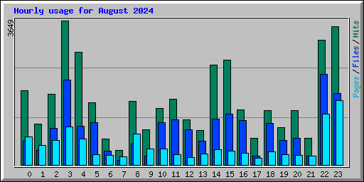 Hourly usage for August 2024