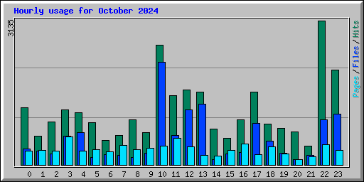 Hourly usage for October 2024