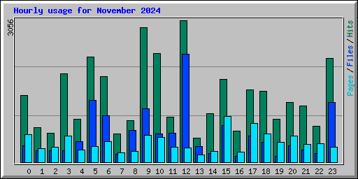 Hourly usage for November 2024