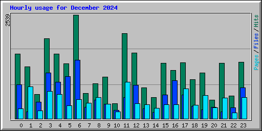 Hourly usage for December 2024